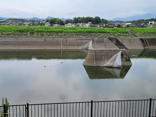 山田川|白門堰