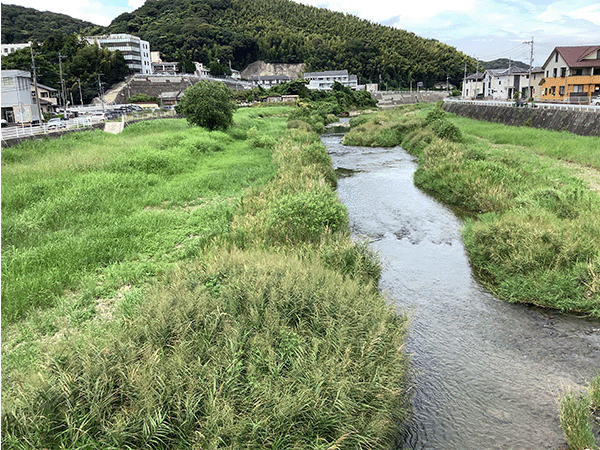 紫川|中流