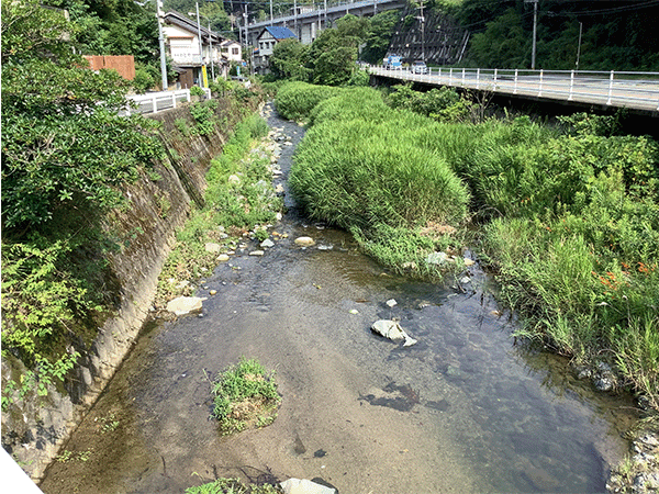 多々良川|中流