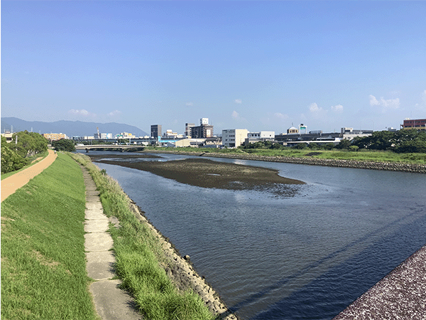 多々良川｜下流
