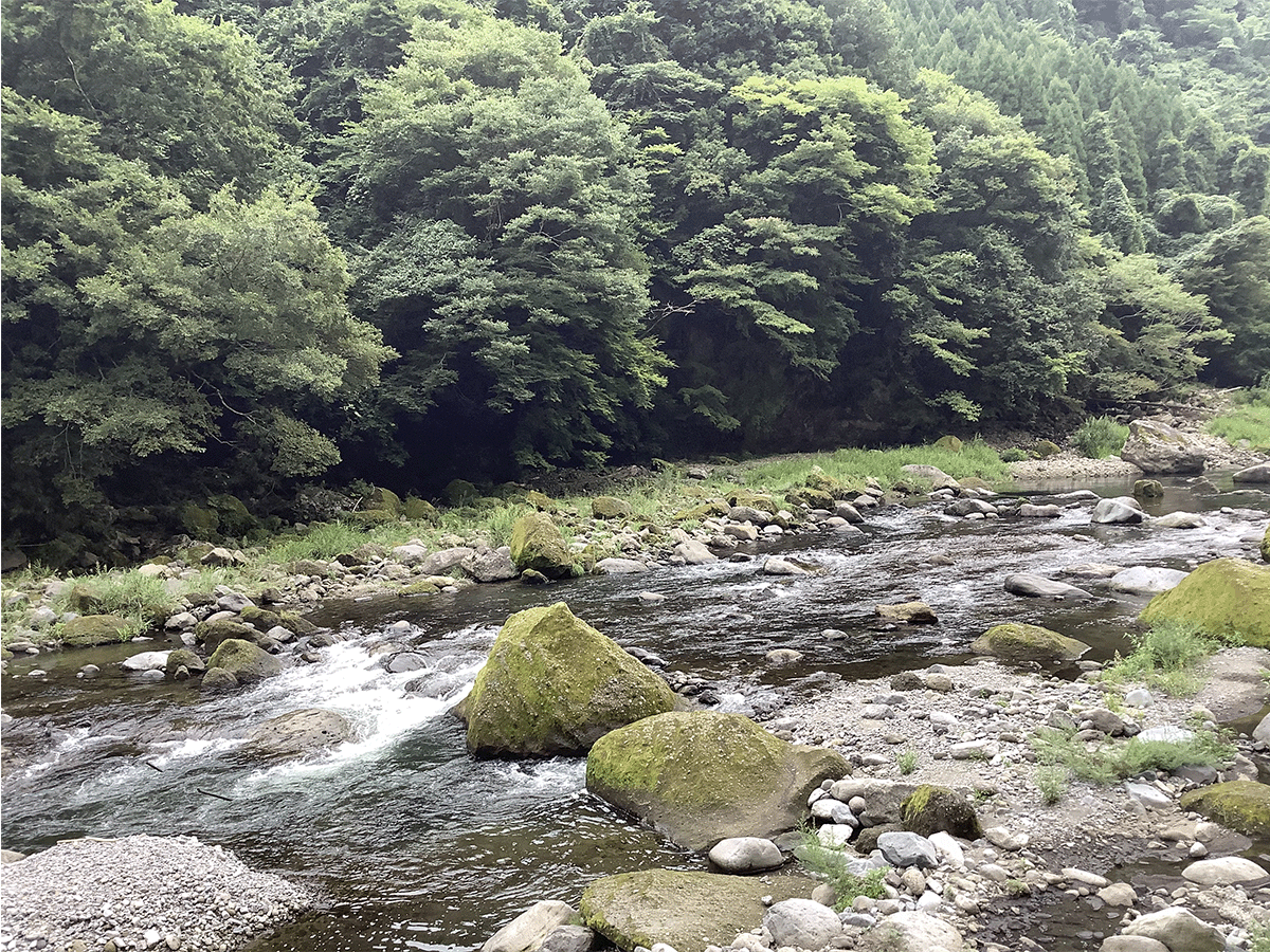 筑後川|上流