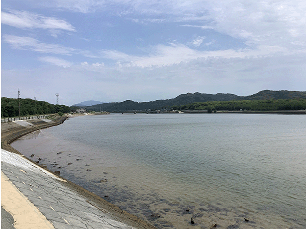 釣川|下流