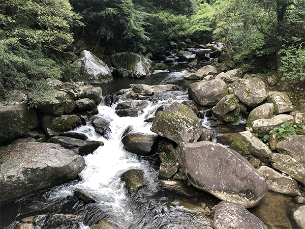 那珂川|上流