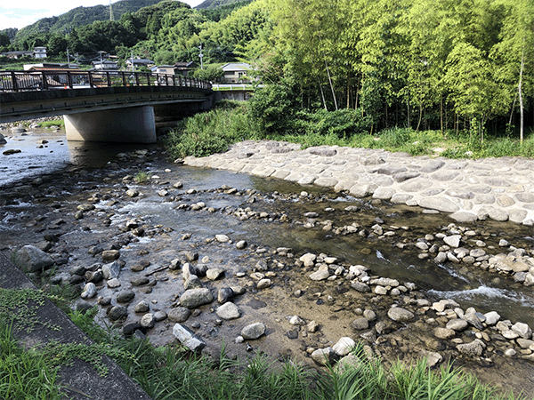 那珂川|中流