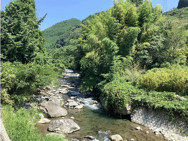 矢部川｜上流