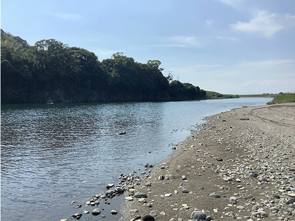 矢部川|中流