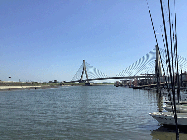 矢部川｜下流