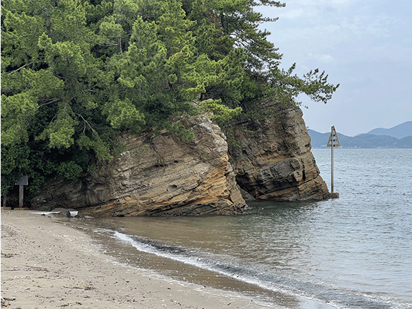 妙見岬姪浜層