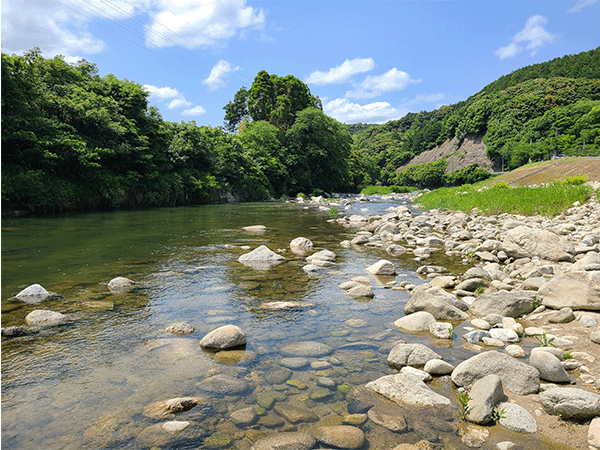 嘉瀬川|中流