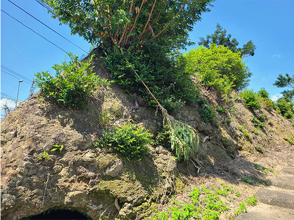道の駅鹿島付近の地層(凝灰角礫岩の地層)