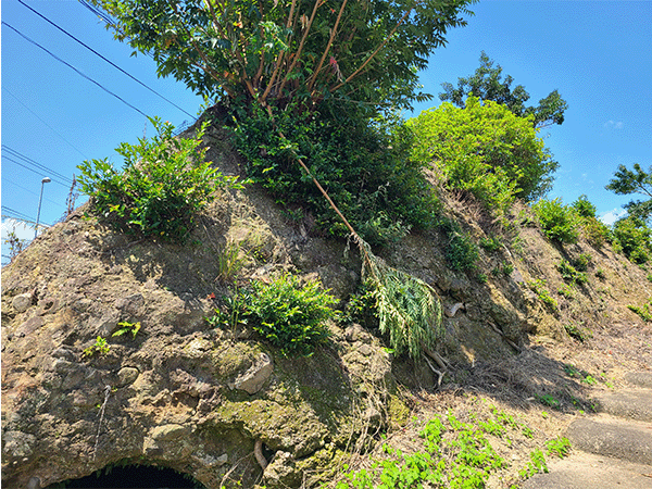 道の駅鹿島付近の地層（凝灰角礫岩の地層）