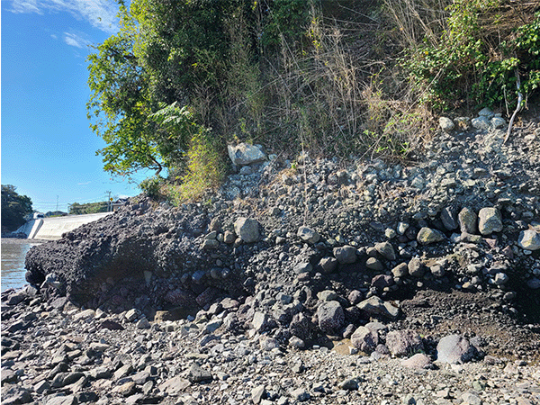 七浦小付近の地層(凝灰角礫岩の地層)