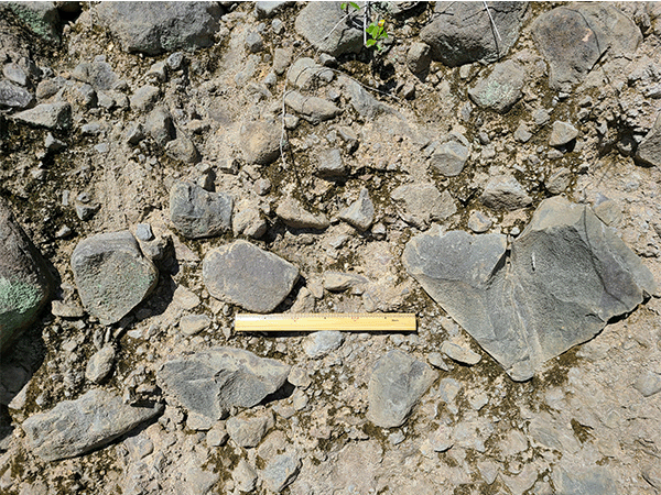 古今の森付近の地層(凝灰角礫岩の地層)その2