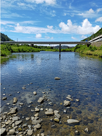 長崎県の自然観察スポット集｜大日本図書
