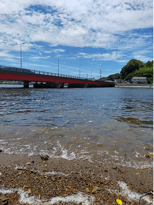 佐々川｜下流