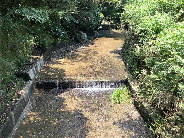 本明川|上流
