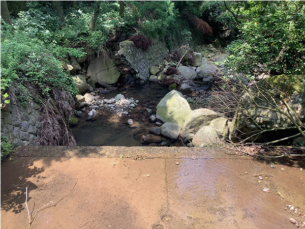 本明川|上流その2