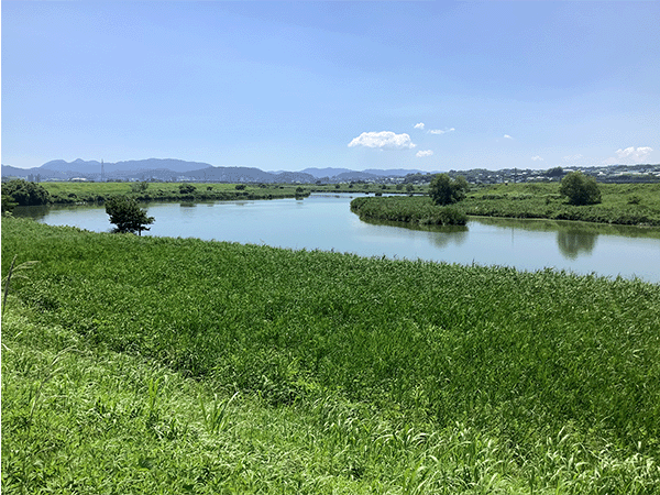 本明川｜下流
