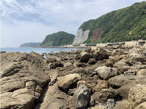伊王島層群沖ノ島層