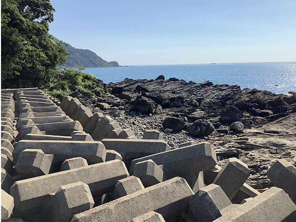 西彼杵層群蛎浦層