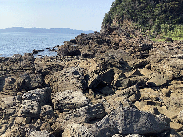 西彼杵層群蛎浦層その2