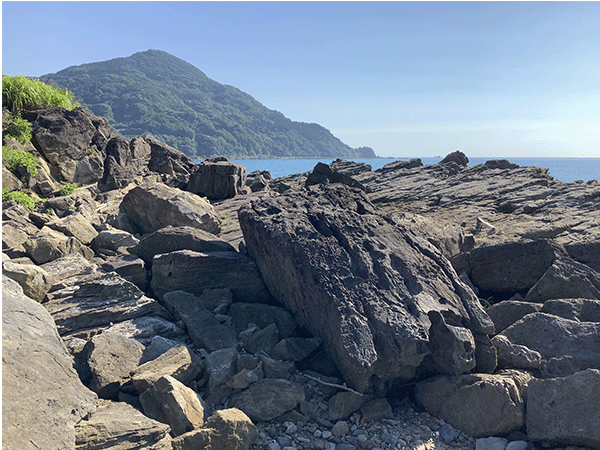 西彼杵層群蛎浦層その3