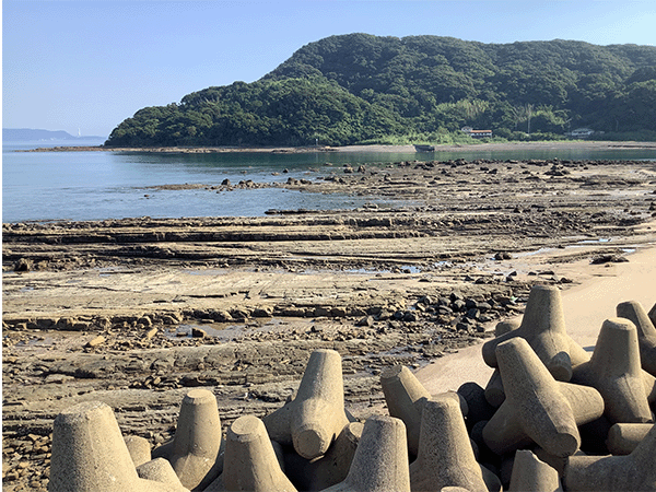 西彼杵層群日切層