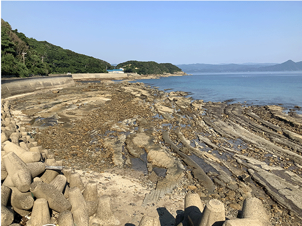 西彼杵層群日切層その2