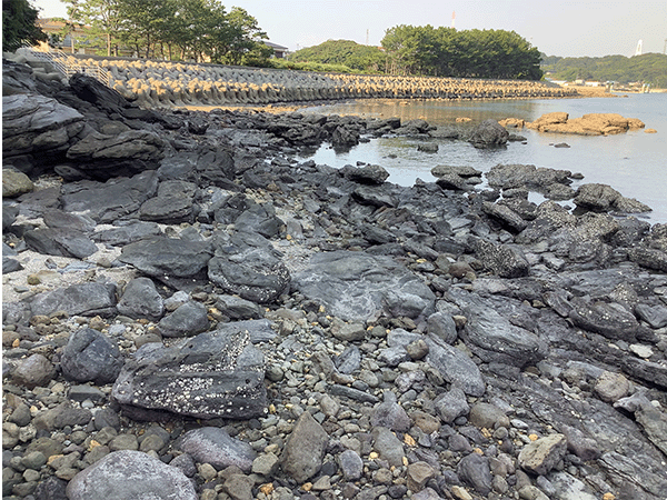 西彼杵層群板浦層