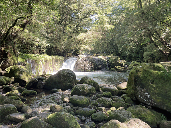 菊池川|上流