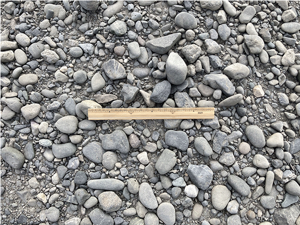 球磨川｜下流その2