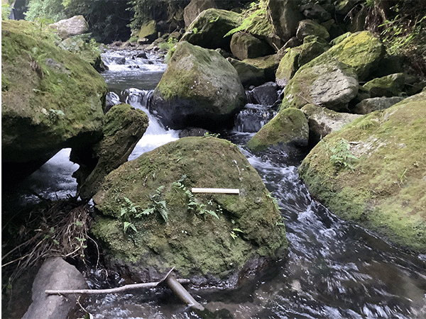 黒川｜上流