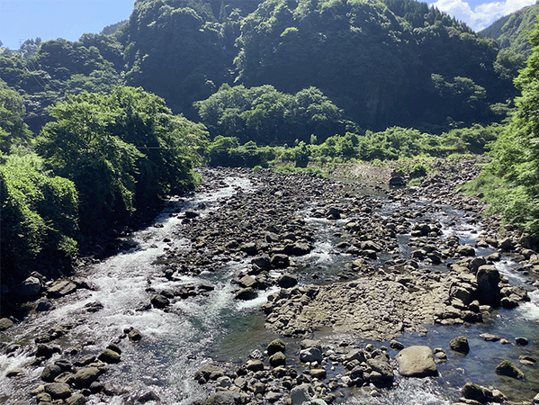 緑川|上流その2