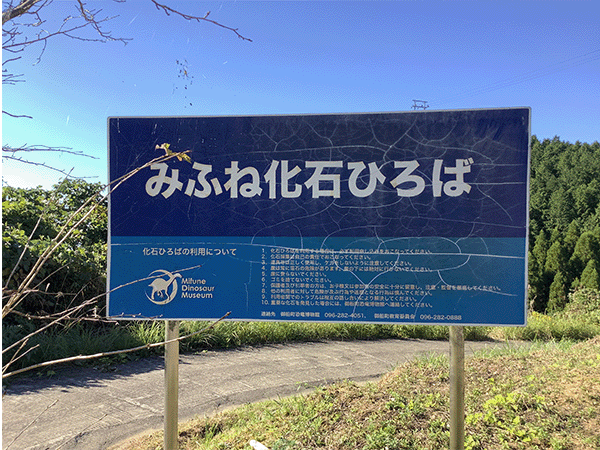 御船層群下部層 みふね化石広場