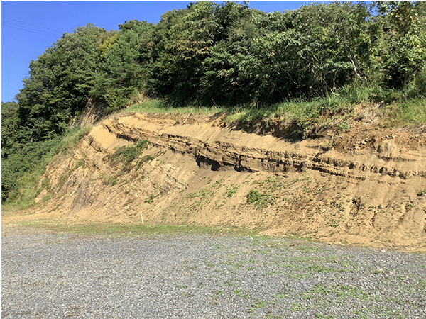 御船層群下部層 みふね化石広場その2