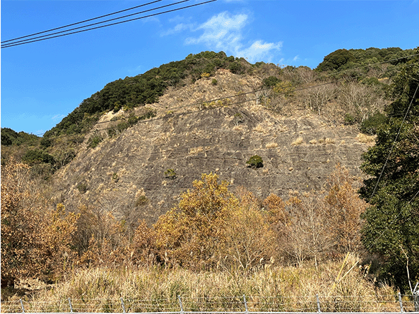 川口層のスランプ褶曲