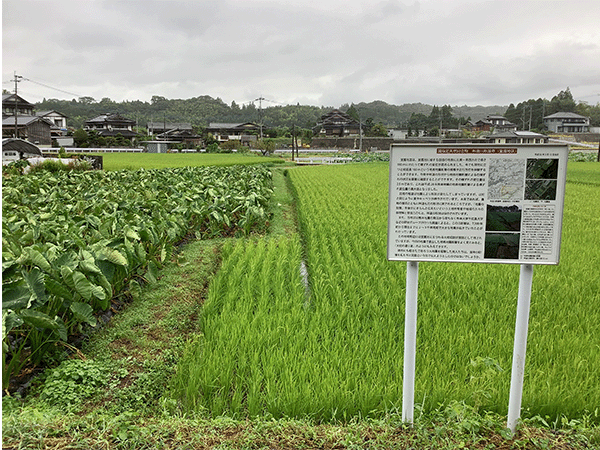 布田川断層帯