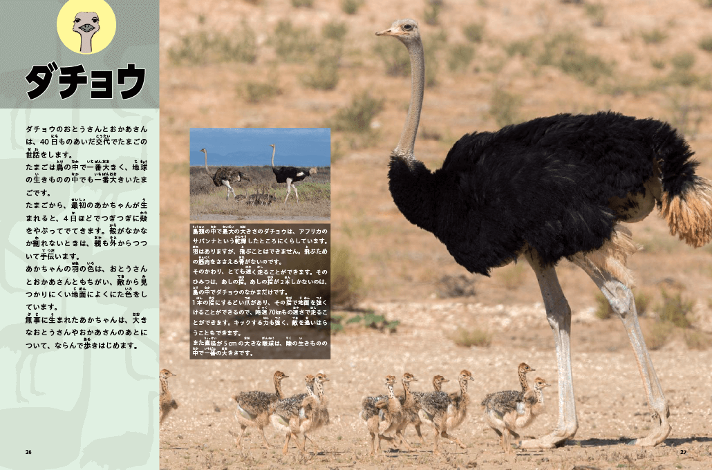 命はぐくむ 生きもの家族図鑑｜大日本図書
