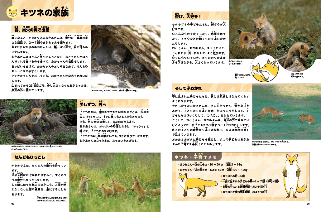 大判 図鑑 新日本動物図鑑 下巻 北隆館 - メルカリ