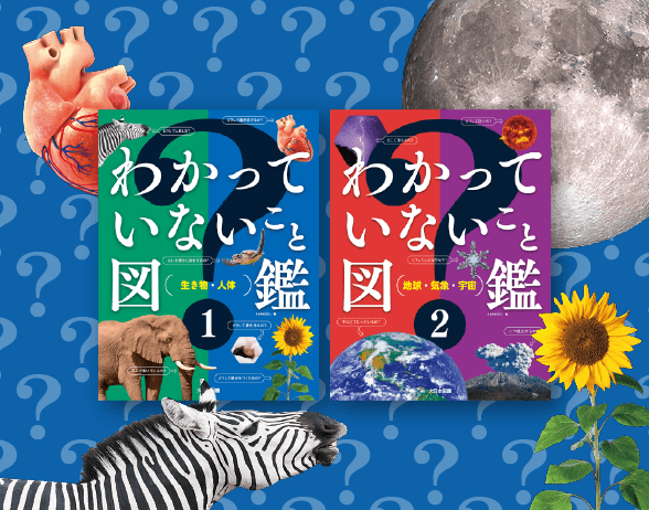 教育人名辞典 (1)上・下 (2)上・下(3)上・下（6冊） 日本図書センター 大日本図書｜教科書・デジタル教科書および児童書・一般書の発行