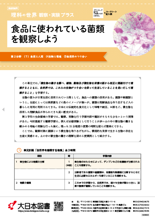 食品に使われている菌類を観察しよう