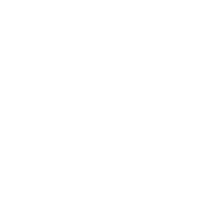 体育編 改訂のポイント