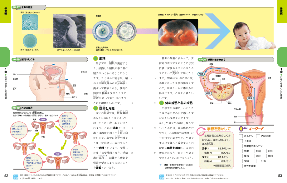 p.52-p.53