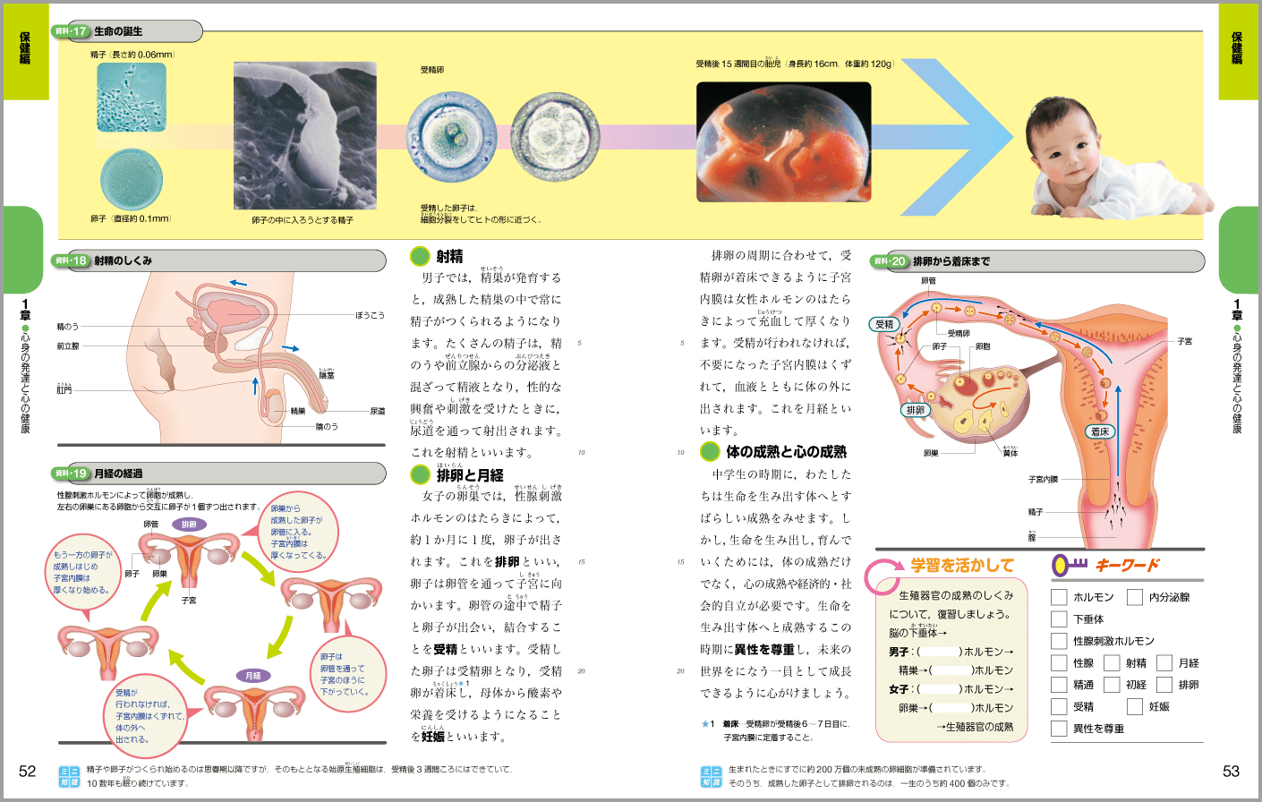 p.52-p.53