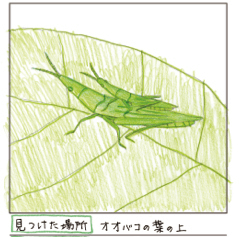 新版 たのしい理科 3年 p.59 見つけたよカード