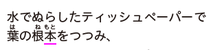 新版 たのしい理科３年 p.29 囲み
