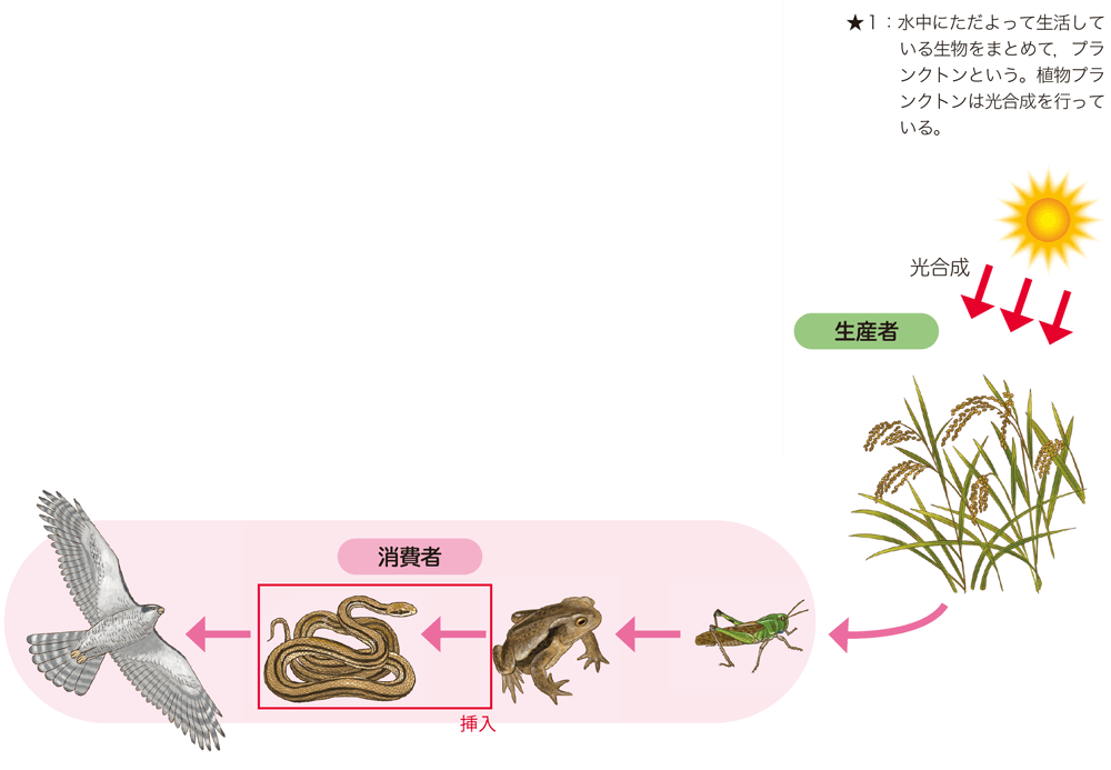 新版 理科の世界3年 p.119 図1　新