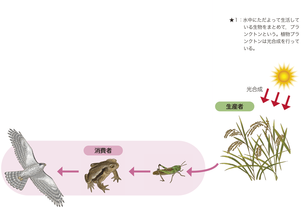 新版 理科の世界3年 p.119 図1