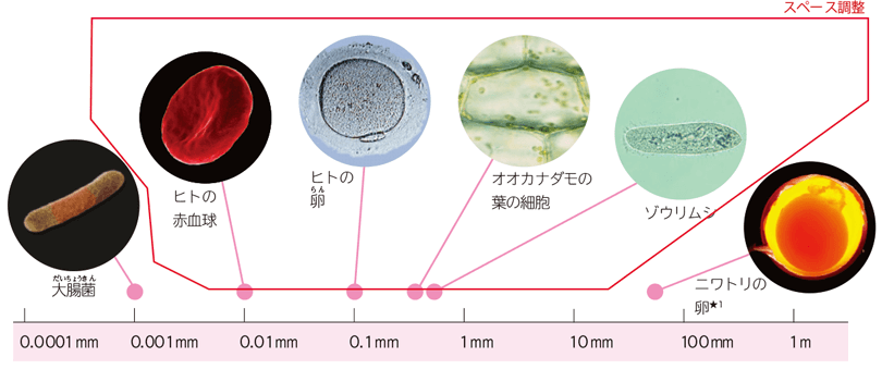 新版 理科の世界2年 p.91 図5 新