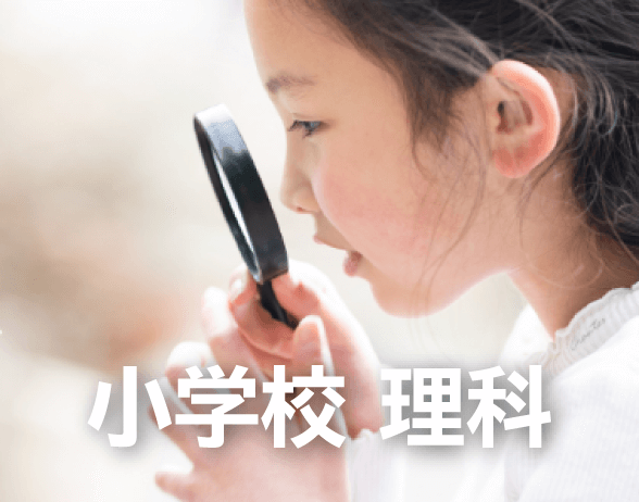 小学校 理科 大日本図書 小学校 理科 大日本図書